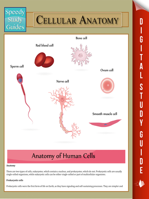 Title details for Cellular Anatomy by Speedy Publishing - Wait list